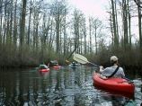 Individuals in safety gear traversing a wooded river in canoes