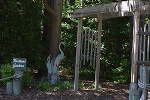 Visit the Holly Point Nature Park page of the Deltaville Museum website