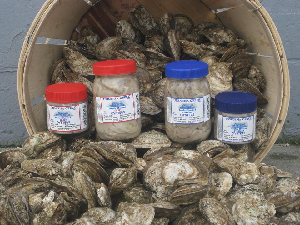 Fresh oysters in jars and shells
