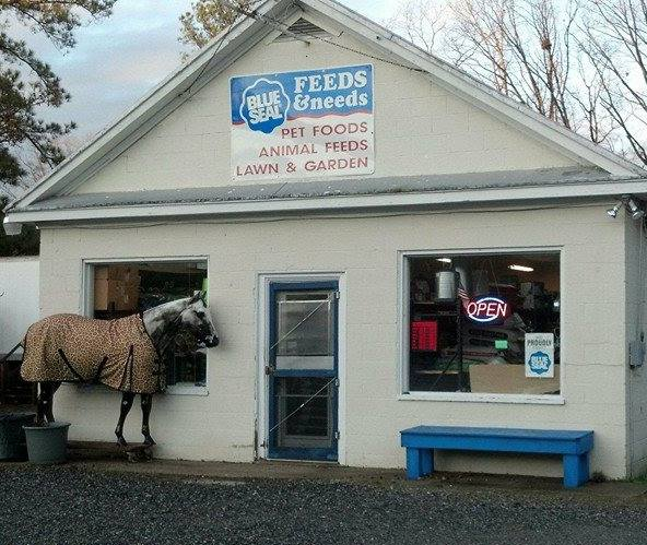 Feed em All Feed Building